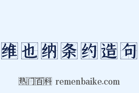 维也纳条约造句是什么意思的图片